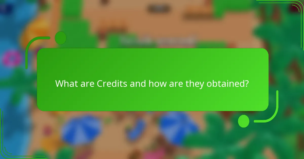 What are Credits and how are they obtained?